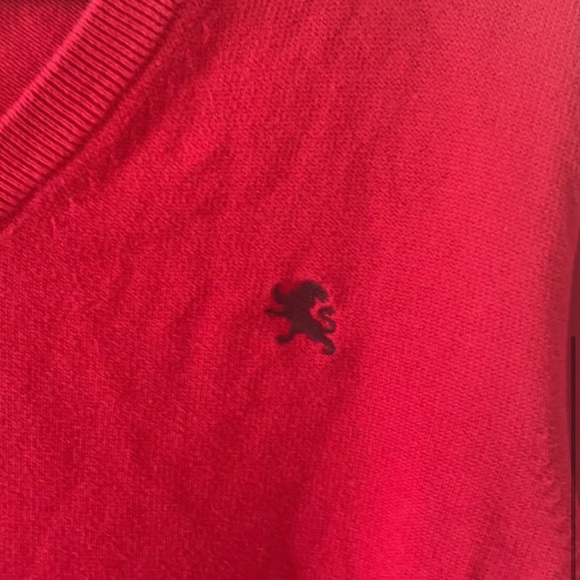 Express V-Neck Sweater - Picture 3 of 4